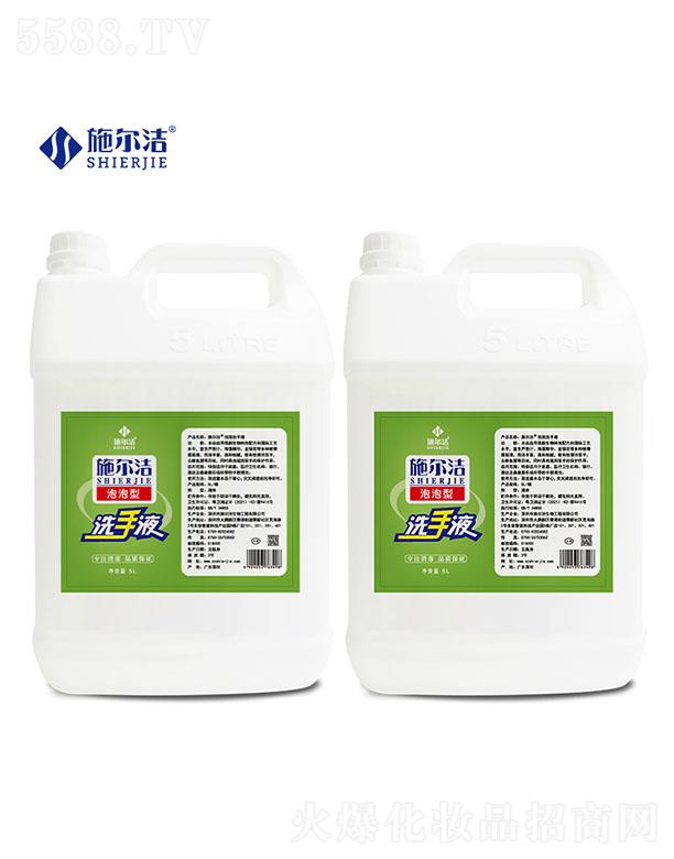 ������ʩ�������﹤�����޹�˾��ʩ��������ϴ��Һ--5L