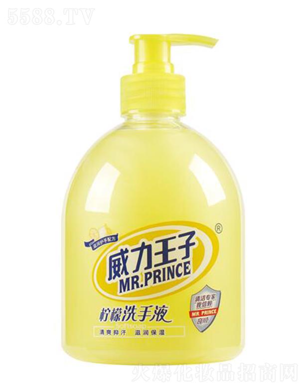 �V������ջ��Ƽ����޹�˾���������ә��ʝ��wϴ��Һ 500��