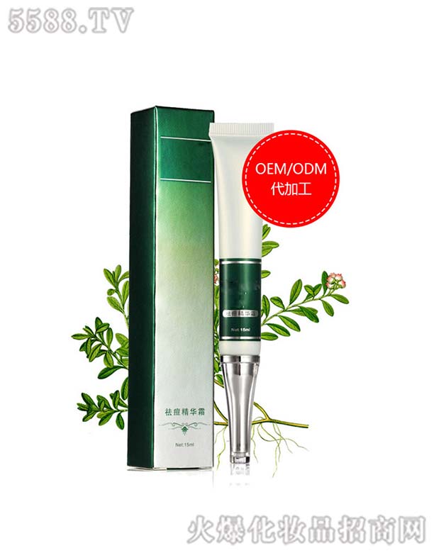 ����������A˪OEM