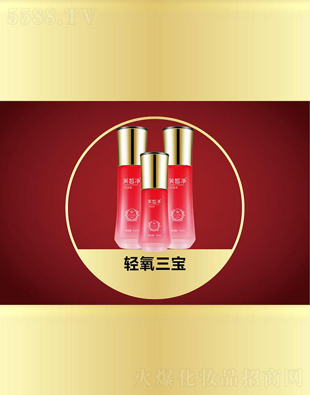 �V���f�Z���H����Ƽ����޹�˾��ܽ���p������