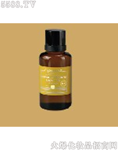 ���Ę�(l��)���ןo(w��)��{(di��o)������