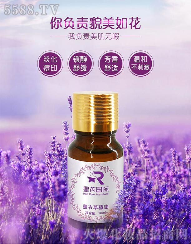 ޹�²݆η�����