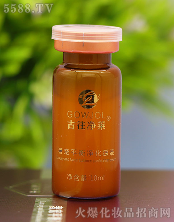 �Ϻ����W����Ƽ����޹�˾���������R�݌�ƽ�����ԭҺ��֧