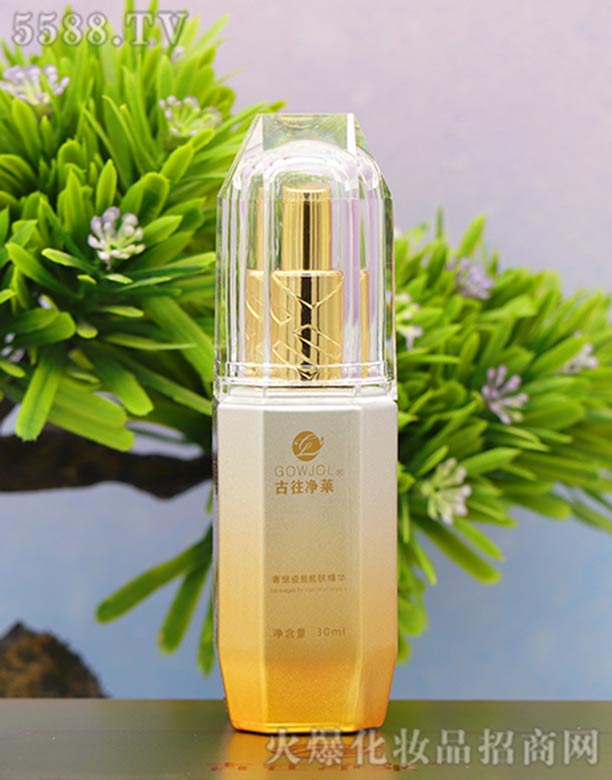 �Ϻ����W����Ƽ����޹�˾���������R�݌�����n�w���A