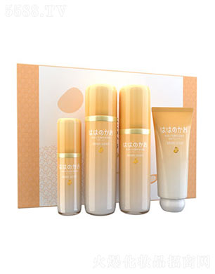 �V���л��܌��I(y��)���޹�˾���H�����龫���o�w�ļ����b����棩