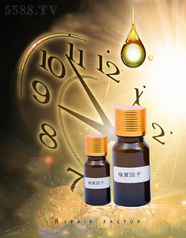 ʯ���f��֥�����Q(m��o)���ģ���֥���ޏ�(f��)����