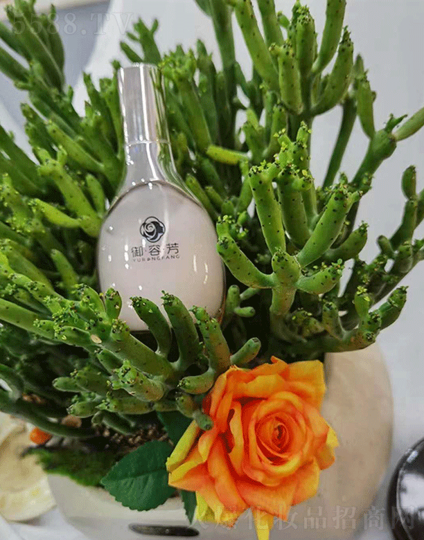 �K�݊y��������Ƽ����޹�˾�����ݷ����ݱ�����