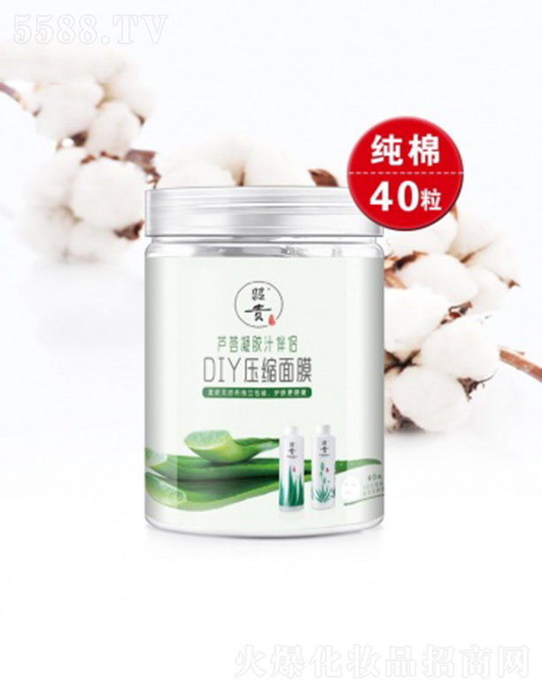 ���FDIY���s��Ĥ40��