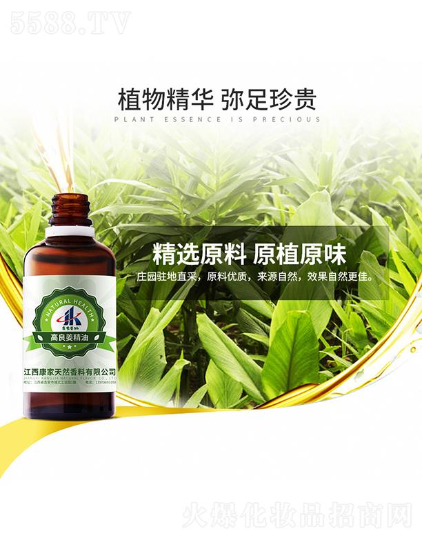 ���ұ��ݸ���������