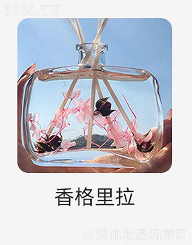 �o(w��)����޹����-�������