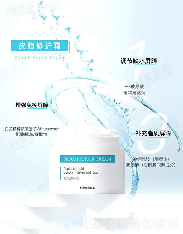 �V�ݿ�ӯ���yƷ���޹�˾��Ƥ֬�ޏ�(f��)˪