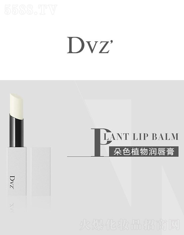 Dvz��ֲ�(r��n)���� 4g