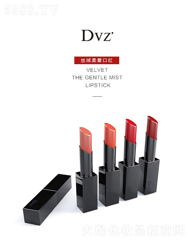 Dvz�z�q���F�ڼt��A) 4g