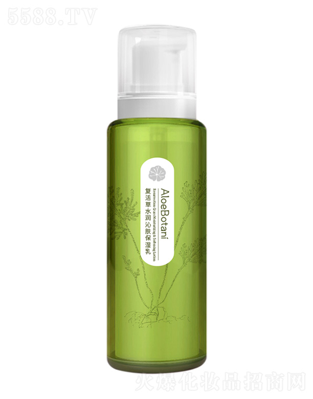 �V��ֲ���C�Z(y��)����Ƽ����޹�˾����(f��)���ˮ��(r��n)���w������