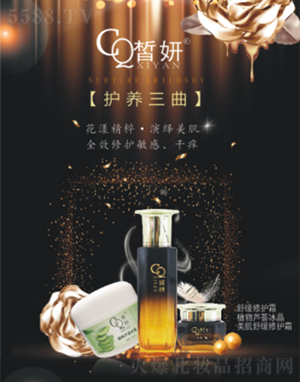 ����o�B(y��ng)����