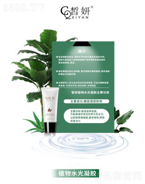 ���ֲ��ˮ�����z