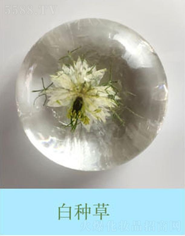 �������r�����׷N��