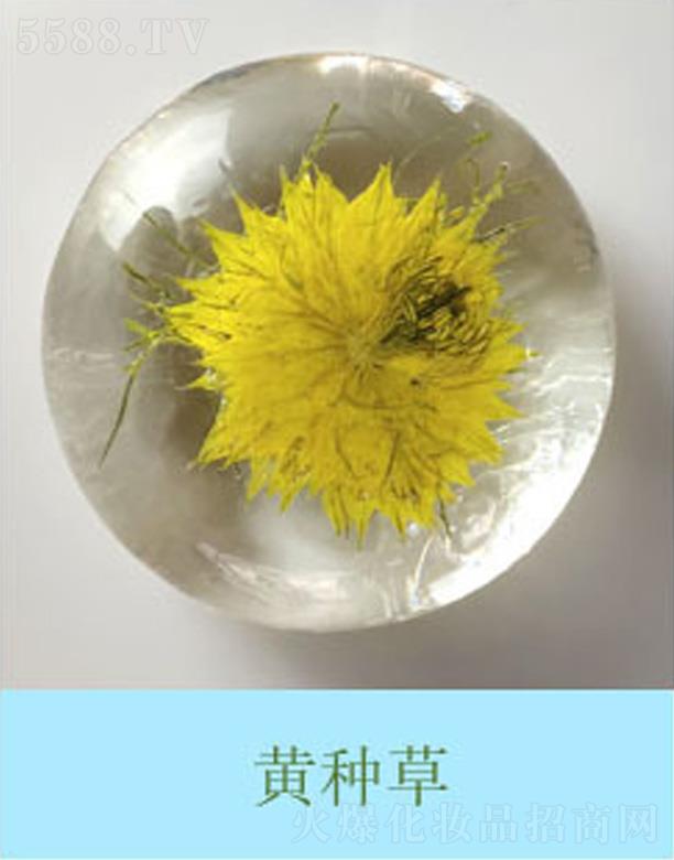 �������r�����S�N��