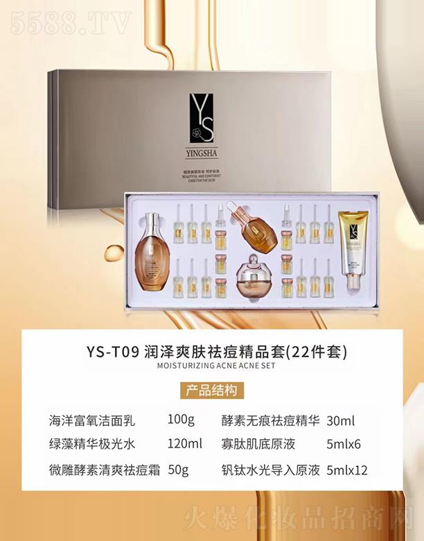 ��ɯYS-T09����ˬ�w���Ʒ��(22����)