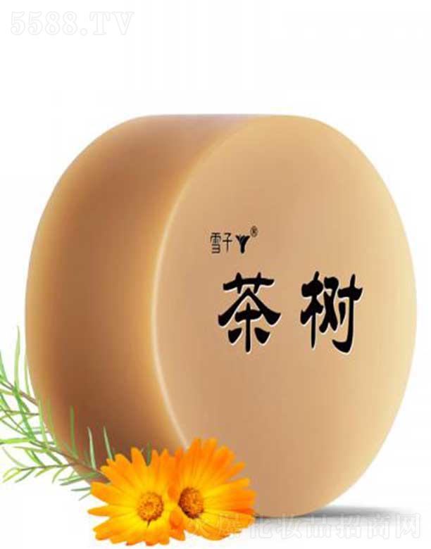 ѩ������Ƽ�(����)���޹�˾��ѩ�Ӳ��ˮ����Դ�ֹ���