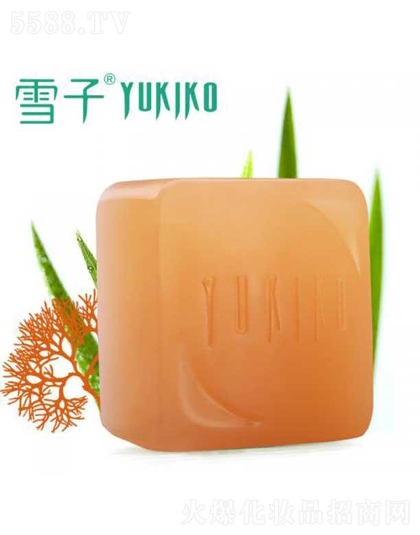 ѩ������Ƽ�(����)���޹�˾��ѩ�Ӽt��ˮ����Դ�ֹ���