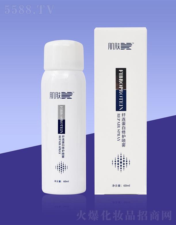 �ؑc���{(l��n) ���w�t(y��)���w�B�������o(h��)���F