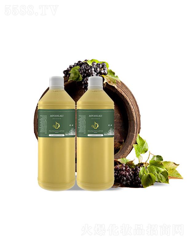 �V�ݰ���  �����䉺��������   �o�¼��w