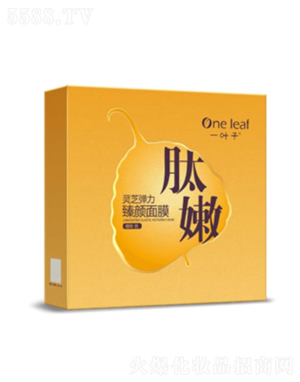 һ�~���`֥���������Ĥ