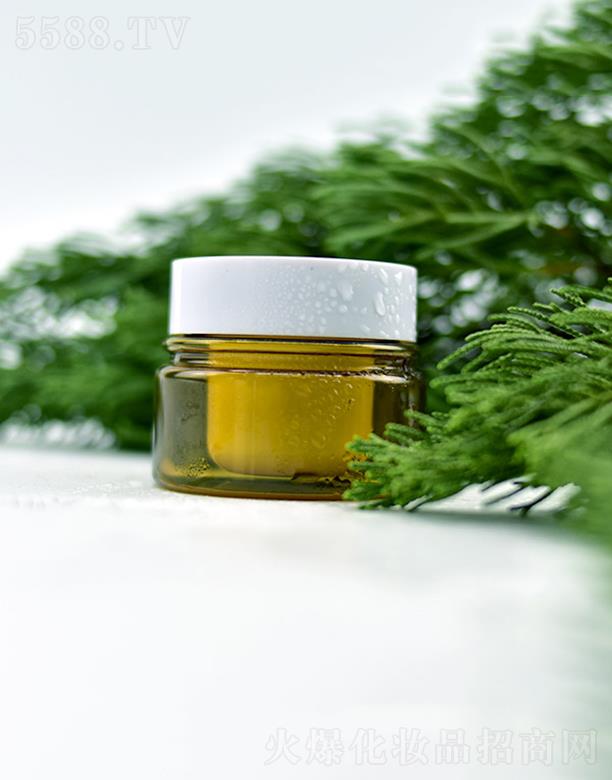 �WȪ�����ݱ������  �I�B(y��ng)�ޏ�