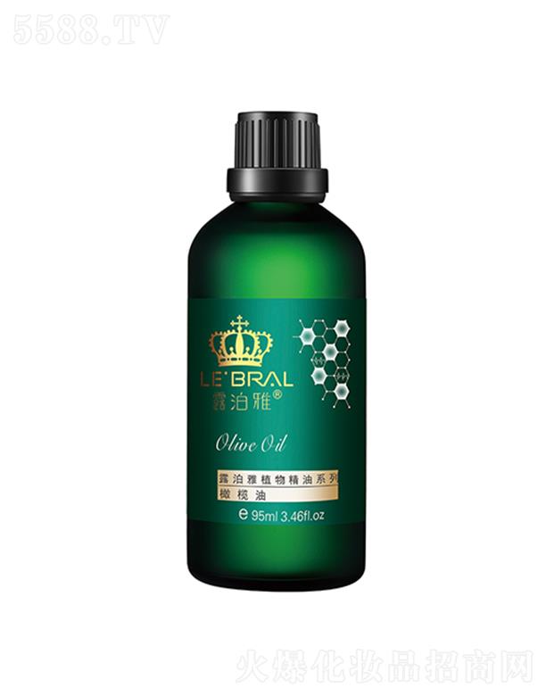 ¶�����ϙ���