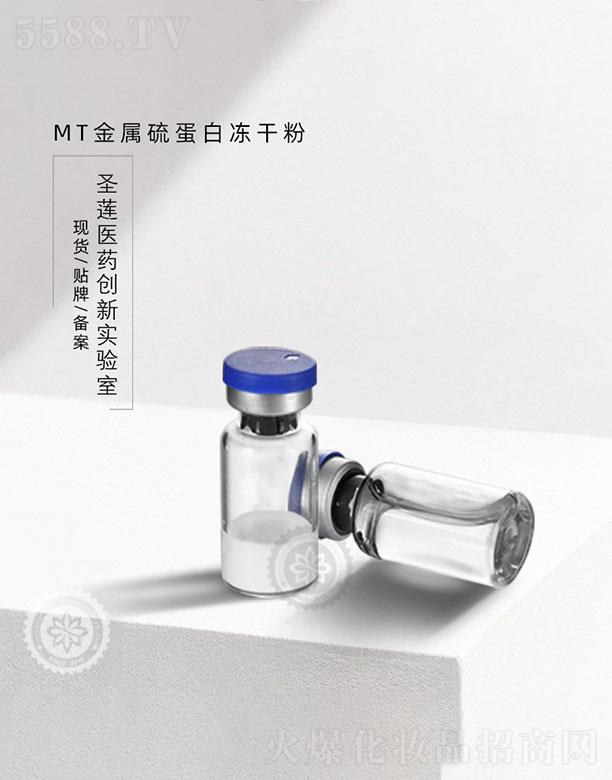 �V��ʥɏ  ʥɏMT�����򵰰׃��ɷ�   ���ؽ���