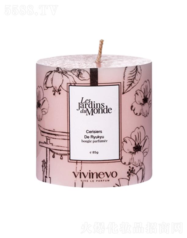 vivinevo����ѻ��A��Ϟ�T