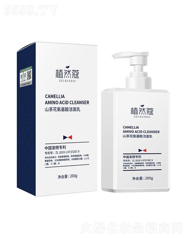 �V��ٻ�̻��yƷ���޹�˾��ֲȻޢɽ�軨�����ᝍ����  200g