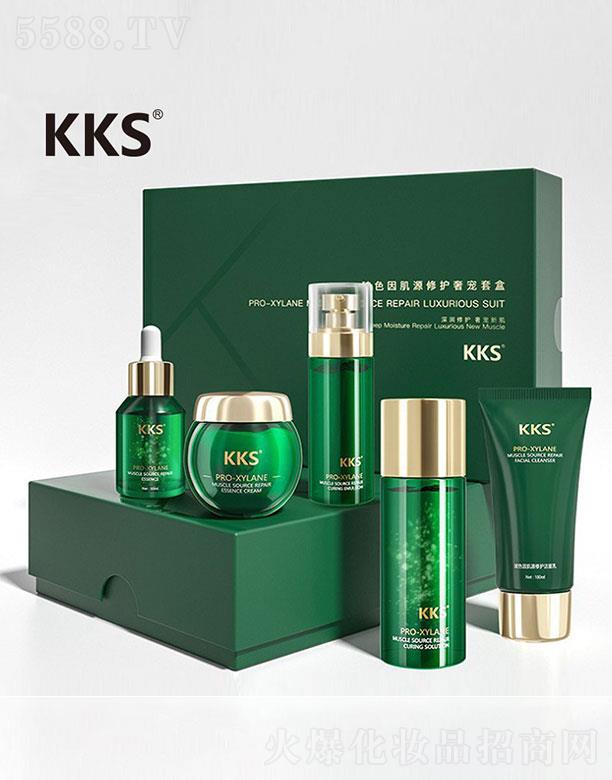 �V���в��ѻ��yƷ���޹�˾��KKS��ɫ��Դ�ޏ�(f��)������b