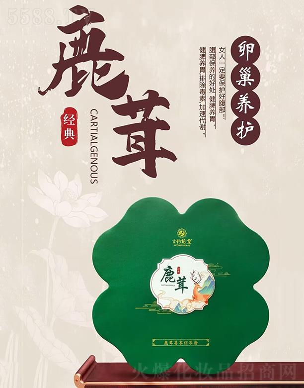 �������¹�������۲���