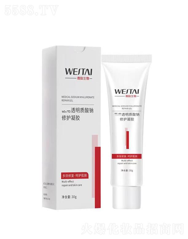 �V��΢������Ƽ����޹�˾��΢���t(y��)��͸���|(zh��)���c���o(h��)���z