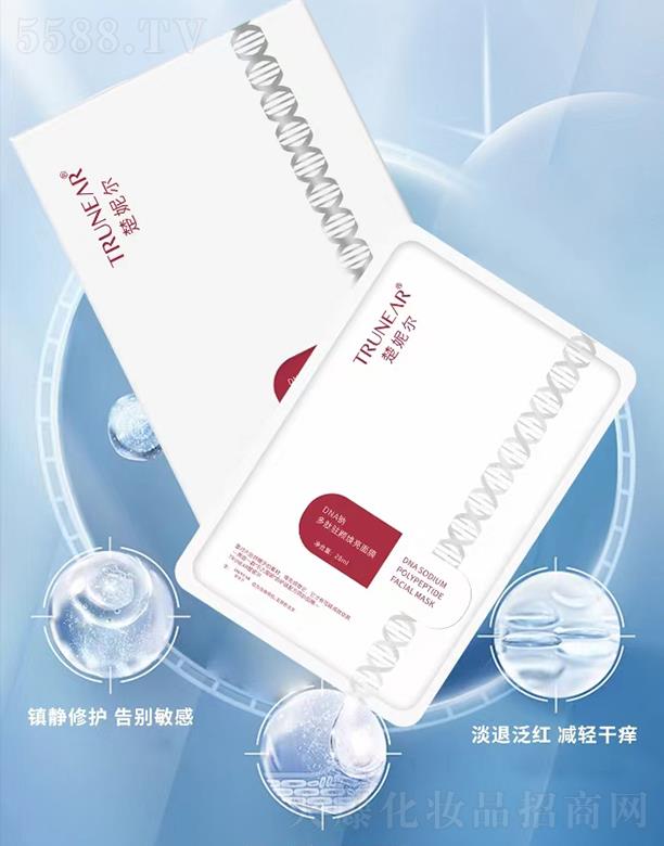 ���ݠ�DNA�c�����v�����Ĥ