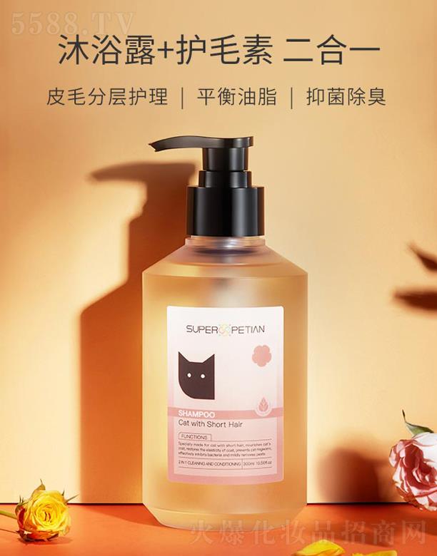 ������(��i)�����㲨����ë؈��