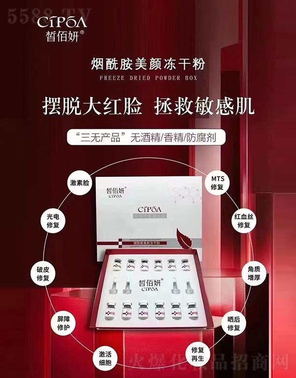 ��������ޏ�(f��)���ɷ�