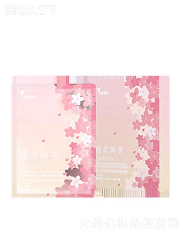 ���������ѻ����B(y��ng)������Ĥ