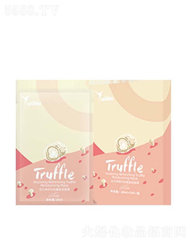 ������������¶������Ĥ