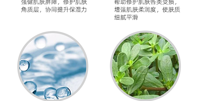 �n�����n����o(h��)��